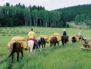 pack trips drop camps big horns buffalo ten sleep wyoming