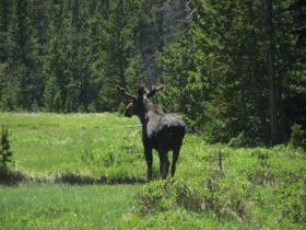 Lodge Cabins Lodging Hunting Buffalo Ten Sleep WY