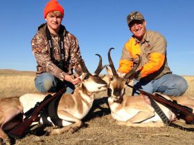 Antelope Pronghorn Hunts Outfitters Wyoming