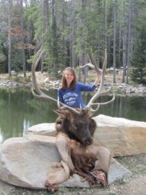 Holli's Elk South Fork Mountain Outfitters Wyoming